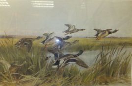 AFTER THOMAS BLINKS "Mallard alighting over a reed bed", colour print, signed in pencil and "