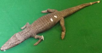A stuffed juvenile Crocodile