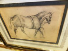 RAOUL MILLAIS "Cheltenham", study of a racehorse, pencil charcoal, signed bottom left, titled bottom