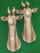 A pair of simulated carved wooden Gazelle heads