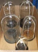 A collection of five various display domes   CONDITION REPORTS  Heights range from approx. 31 cm