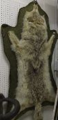 A mounted Wolf pelt on cloth covered wall mounting bearing label to underside "EDW. Gerrard &