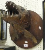 A stuffed and mounted tiger fish head set on a circular plaque