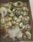 A box of various shell trinket boxes, spoons, etc