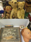 A box containing three gold plush teddy bears, an English composition doll's head, box of