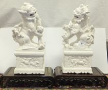 A pair of Chinese blanc-de-chine porcelain fo dog ornaments, each on a carved wood stand   CONDITION