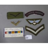A set of parachute regiment cloth insign
