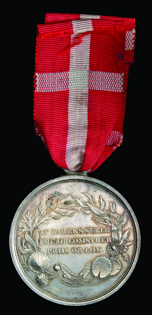 Denmark, Medal for Saving Life from Drowning, Christian VIII (1841-50), with suspension, in silver, - Image 2 of 2