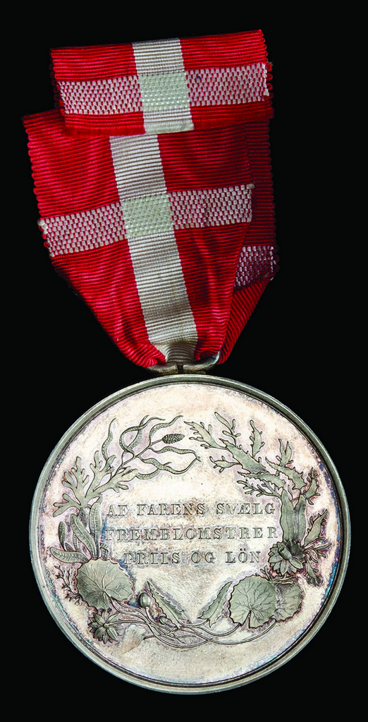 Denmark, Medal for Saving Life from Drowning, Christian IX type 2 (1881-1906), with suspension, in - Image 2 of 2