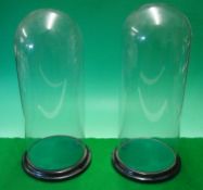 Two Matching Glass Domes: Two large domes matching pair with dome top mounted on wooden bases on