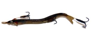 LURE: Rare early painted horn? Elver bait (similar to the Geens Patent bait) 2.75? serpent curved