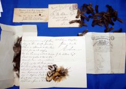 EPHEMERA: Handwritten and signed letter to Kelson dated 1886 containing quantity of feathers and