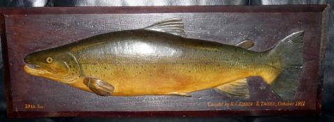 CARVED WOODEN FISH: Fochaber style carved wood half block salmon on original wood backboard fish