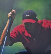 Tiger Woods – colour print of Tiger Woods studying the line of a putt – mf&g overall 26 x 22