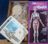 Revell The Visible Woman Model Kit: Exciting dimensional model of the Human Body with optional parts