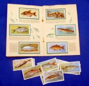 Player, J – "The Album Of British Freshwater Fishes" c/w 50 cards, some loose, making a full album