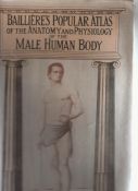 Ephemera ? anatomy Bailliere?s Popular Atlas of the anatomy and physiology of the Male Human Body^