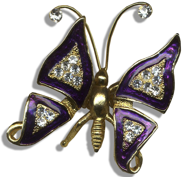 Mouseketeer Annette Funicello Personally Owned & Worn Butterfly Brooch Annette Funicello`s