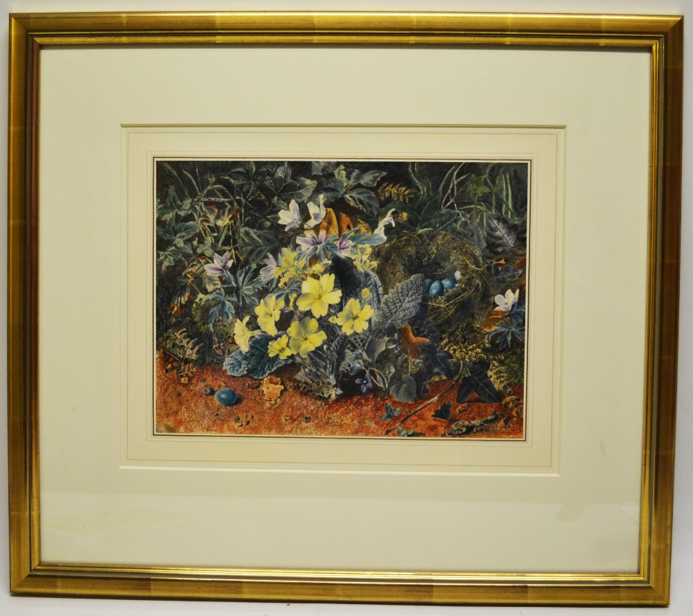 Vincent Clare, a watercolour, birds nest amongst primroses. 9in 23cm x 12in 30cm. Framed and