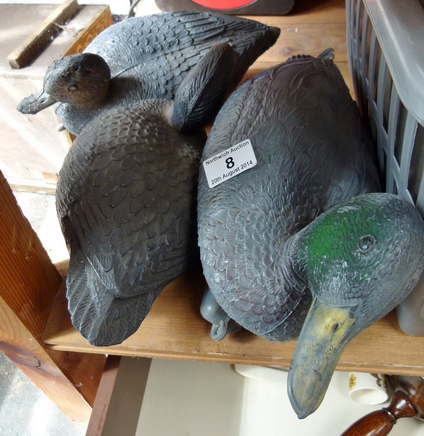 Three lifesize decoy ducks