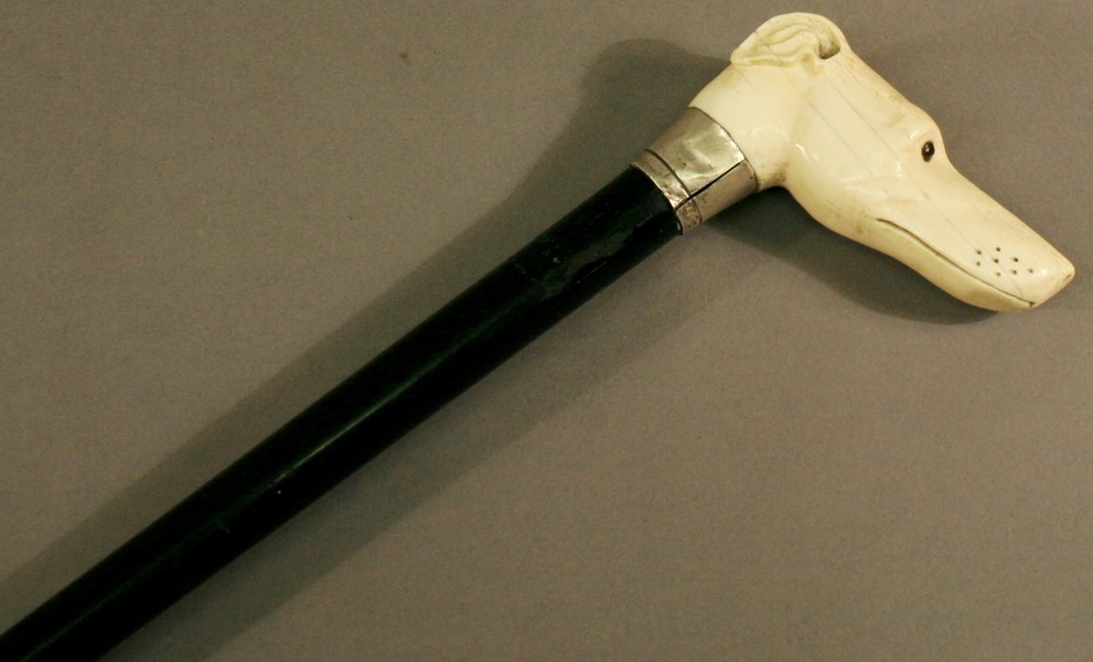AN IVORY HANDLED, SILVER MOUNTED, EBONISED WALKING CANE, the ivory handle carved as a greyhound`s