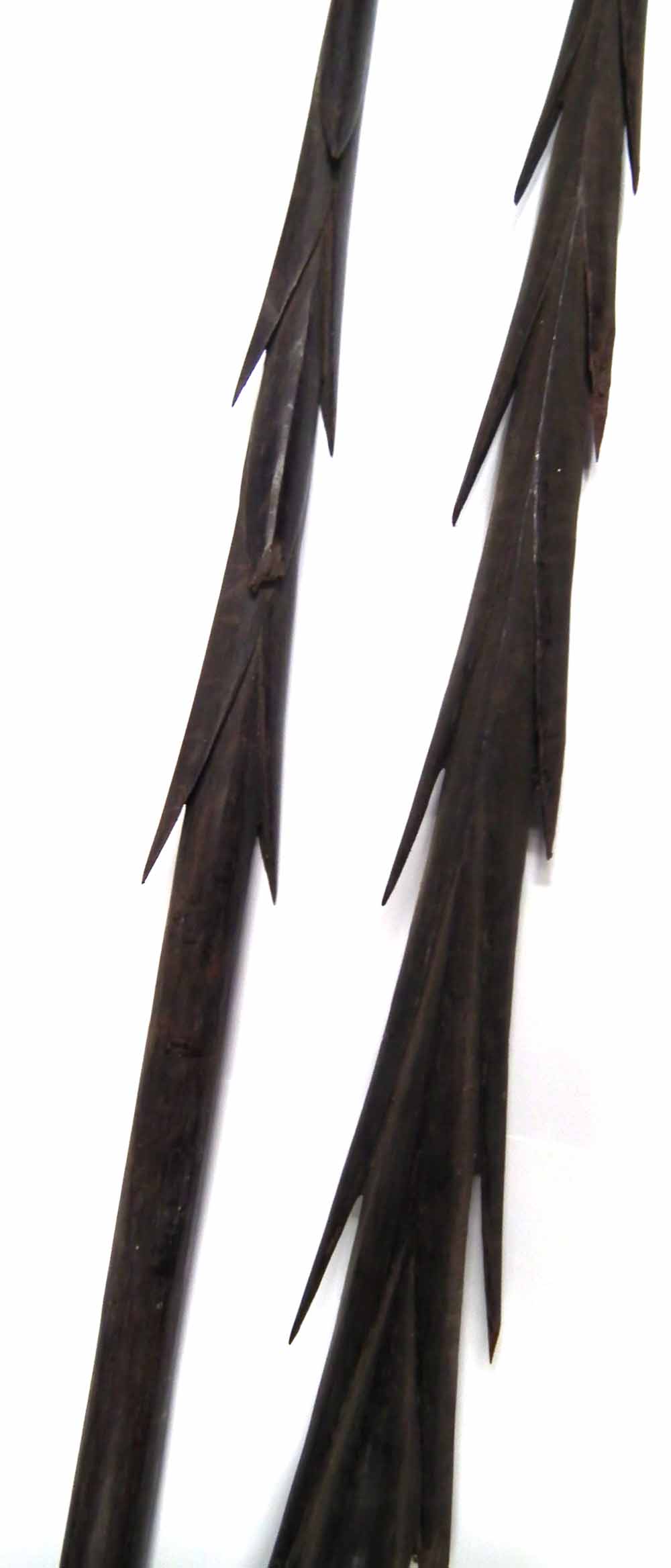 Two Oceanic Polynesian fishing spears, possibly Fijian,   with barbed heads and plain shafts, the - Image 5 of 8