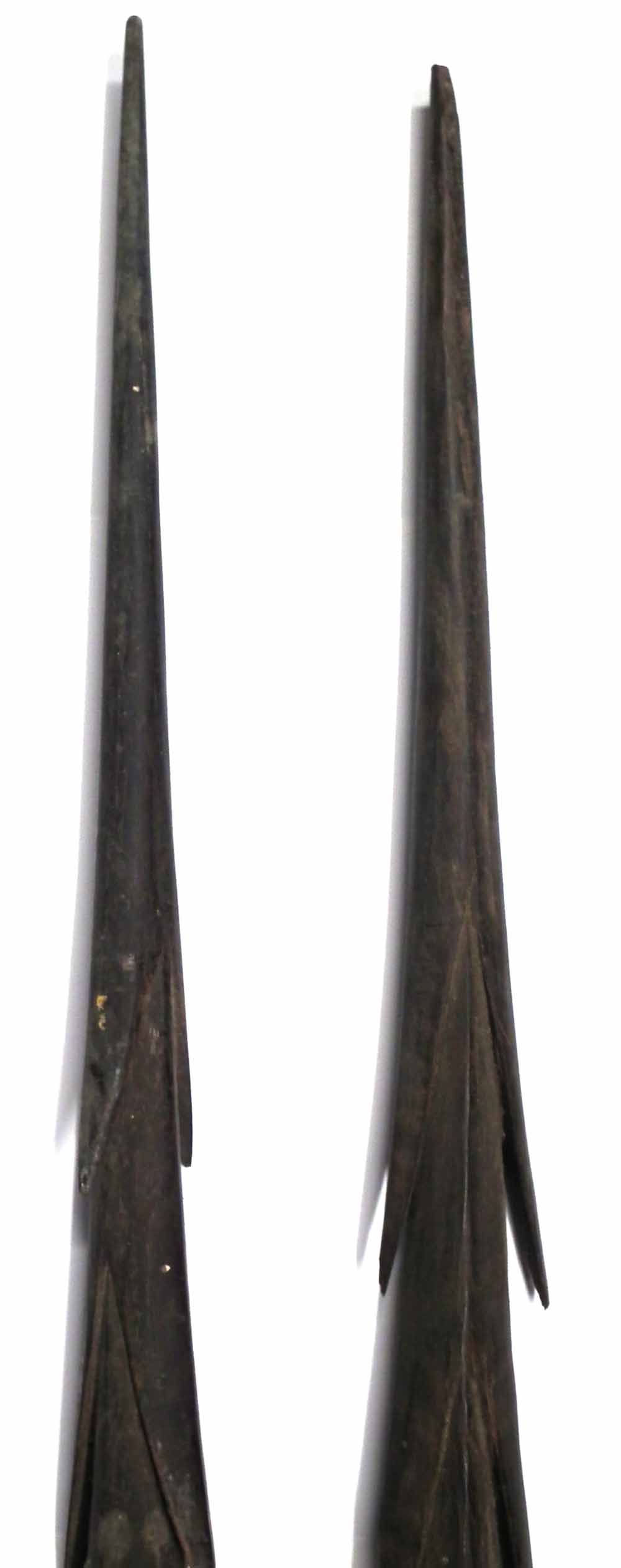 Two Oceanic Polynesian fishing spears, possibly Fijian,   with barbed heads and plain shafts, the - Image 2 of 8