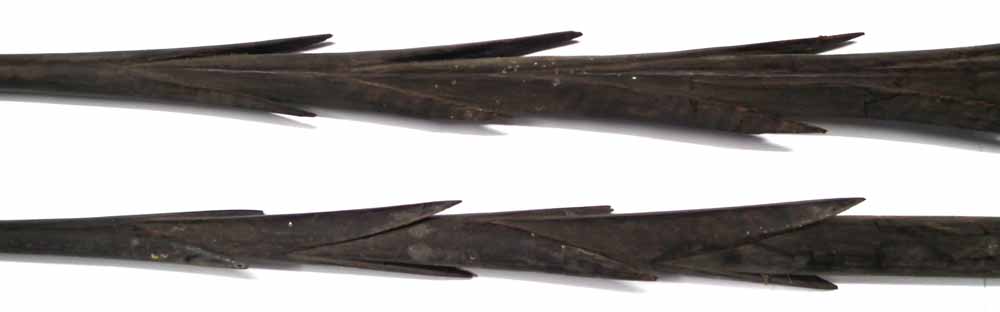 Two Oceanic Polynesian fishing spears, possibly Fijian,   with barbed heads and plain shafts, the - Image 4 of 8