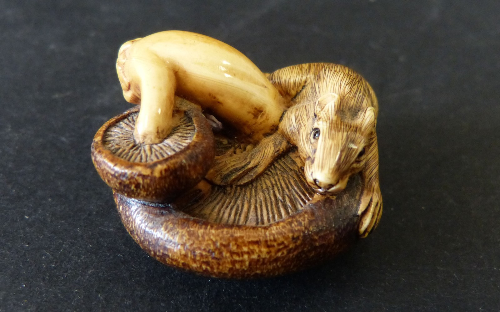 An Ivory Netsuke in form of a rat upon a mushroom, 3.5cm wide