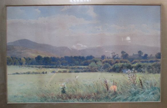 An early 20th century watercolour landscape of fields, wild flowers and hills to background