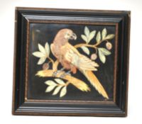 A 19th century pietra dura plaque `Parrott`, framed, 30cm x 32cm overall