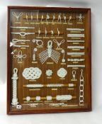 A large framed collection of marine knots in glazed cabinet, 77cm x 63cm