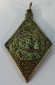 1902 Edward VII medallion