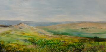 SUE WILLS original acrylic with knife, Dartmoor, 12" x 24"