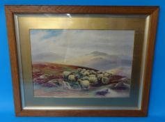 H.W.HICKS watercolour `Moorland Sheep`, foxed, 36cm x 52cm