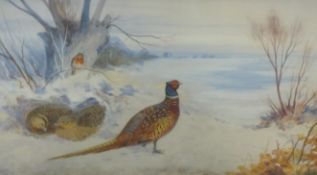 CECIL SCRUBS ? Pair paintings `Grouse in snow scenes`, 30cm x 55cm, signed in gilt frames