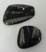 Two Orthoceras fossils in black marble formed into dishes