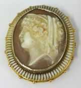 Cameo brooch set within an enamel gold frame, 52mm x 46mm