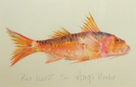 ANGIE HORDER print, `Red Mullet`, 23cm x 35cm, No 33/250