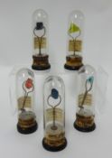 Five Edwardian stone specimens encased in glass domes with labels, for `Magnes Sulphate`, `Magnes