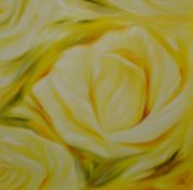 SUE WILLS oil on canvas `Yellow Rose`, 96cm x 96cm, Provenance; direct from the artist`s studio
