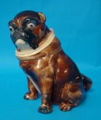 A Majolica pottery pug tobbaco jar, 20cm