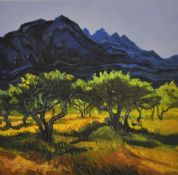 ALAN COTTON `Provence, Olive Orchard` limited edition 18/75, 45cm x 45cm
