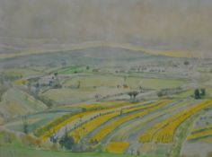 MARY MARTIN b.1951, watercolour `The Tamar Valley`, signed, 21cm x 27cm