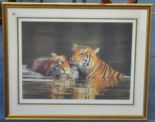 STEVEN TOWNSEND Print `Tigers`,  No 220/675, 41cm x 55cm