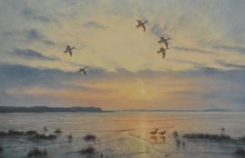 JULIAN NOVOROL (1949-) oil on canvas `Mallard at Sunset` signed and dated 1997 39cm x 59cm