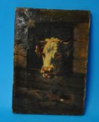 NOEL MARD 1870 oil on canvas `Study of a Bull at a Window`, 25cm x 28cm
