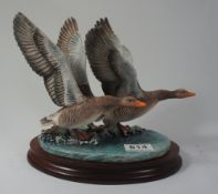 Border Fine Arts figure group Pair Geese " Graylings Rising" limited edition by Ray Ayres Made in