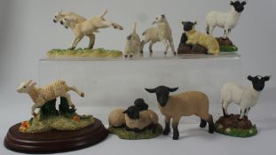 A collection of Border Fine Arts animal figures including Spring Lambs, Sheep etc (9)