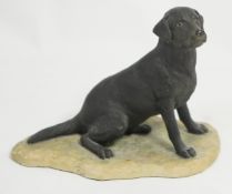 Border Fine Arts Figure Seated Black Labrador 11cm in height